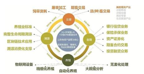 玛拉沁艾力荣获“通辽市农牧龙头”认定 供应链升级领跑行业新赛道